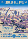 Petrified Foerest National Monument Poster
