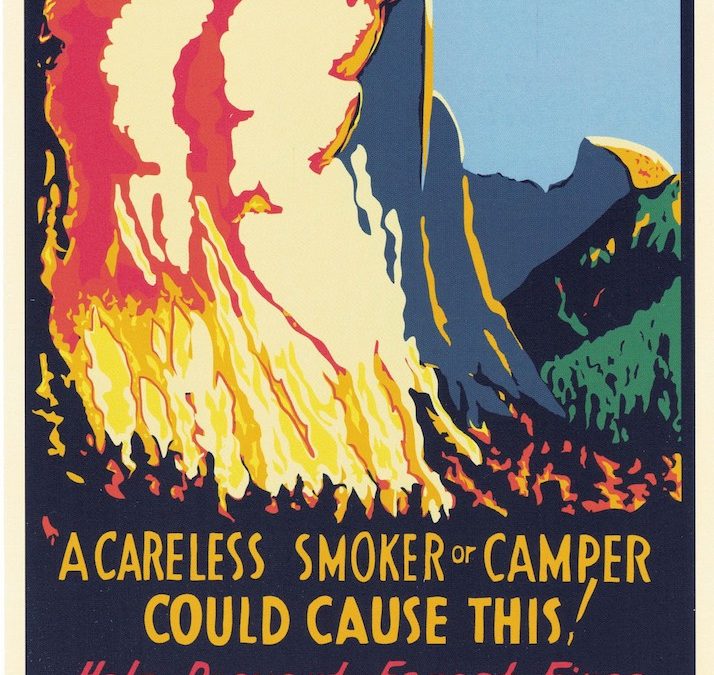 Prevent Forest Fires