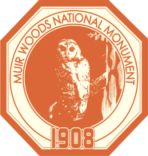 Muir Woods Window Sticker